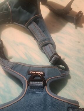 Voyager Blue Pet Harness with Front D-Ring For XL Dog
